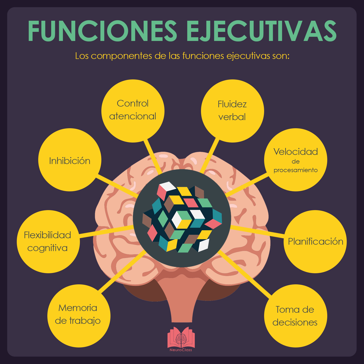 funciones ejecutivas 1